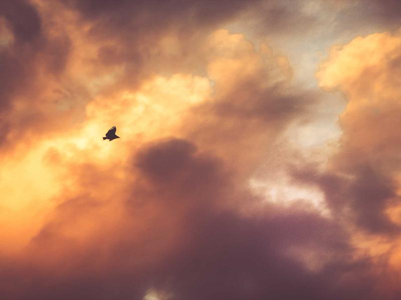 Color Theory in Design: How to Extract and Use Colors from Images - Image 3