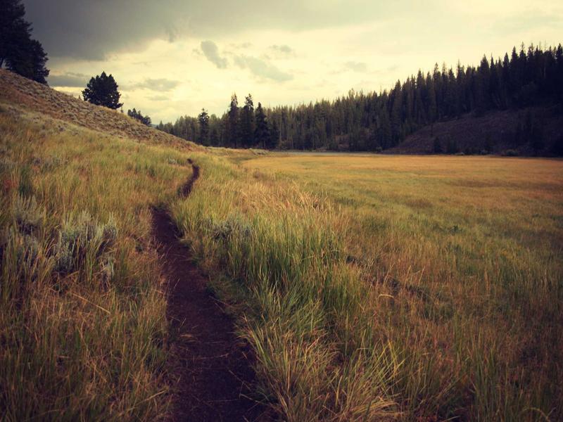 Social Media Image Sizes Complete Guide - Image 3