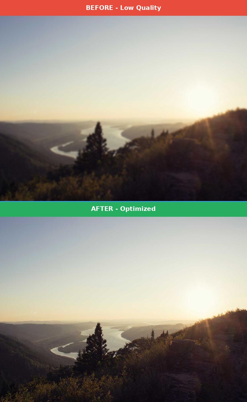 Before vs After Comparison