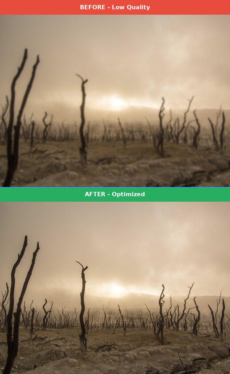 Before vs After Comparison