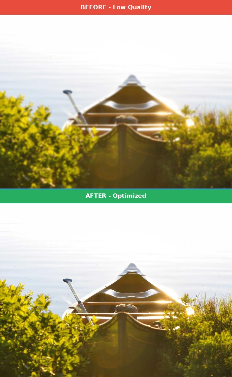 Before vs After Comparison