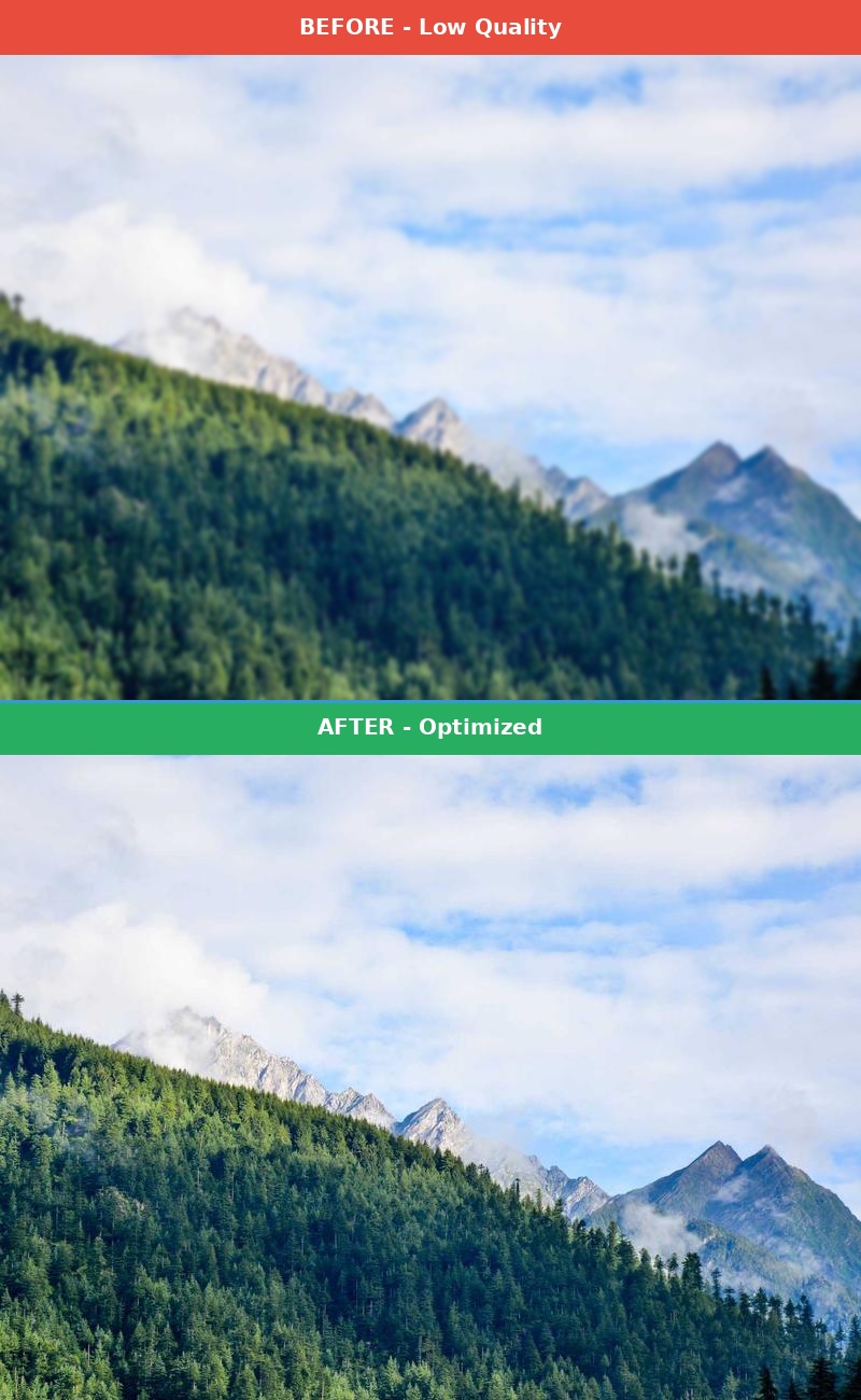 Before vs After Comparison