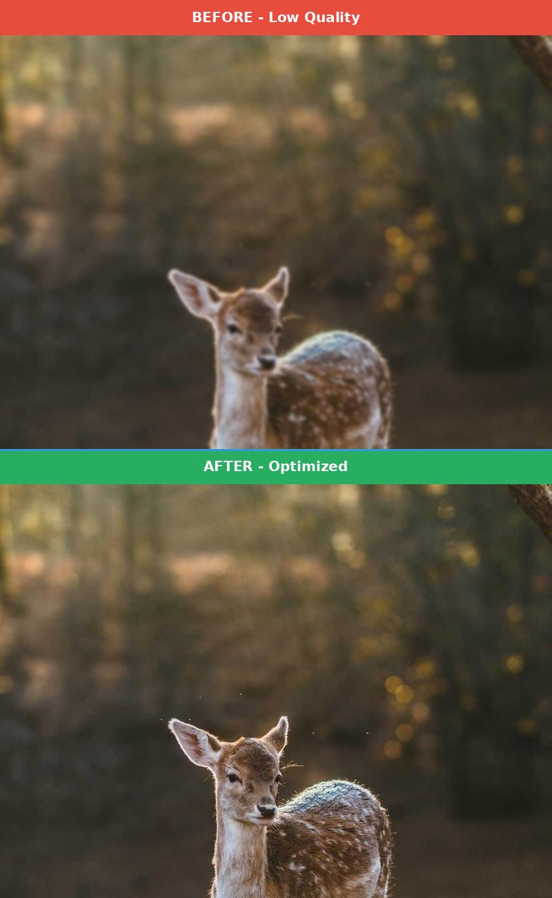 Before vs After Comparison