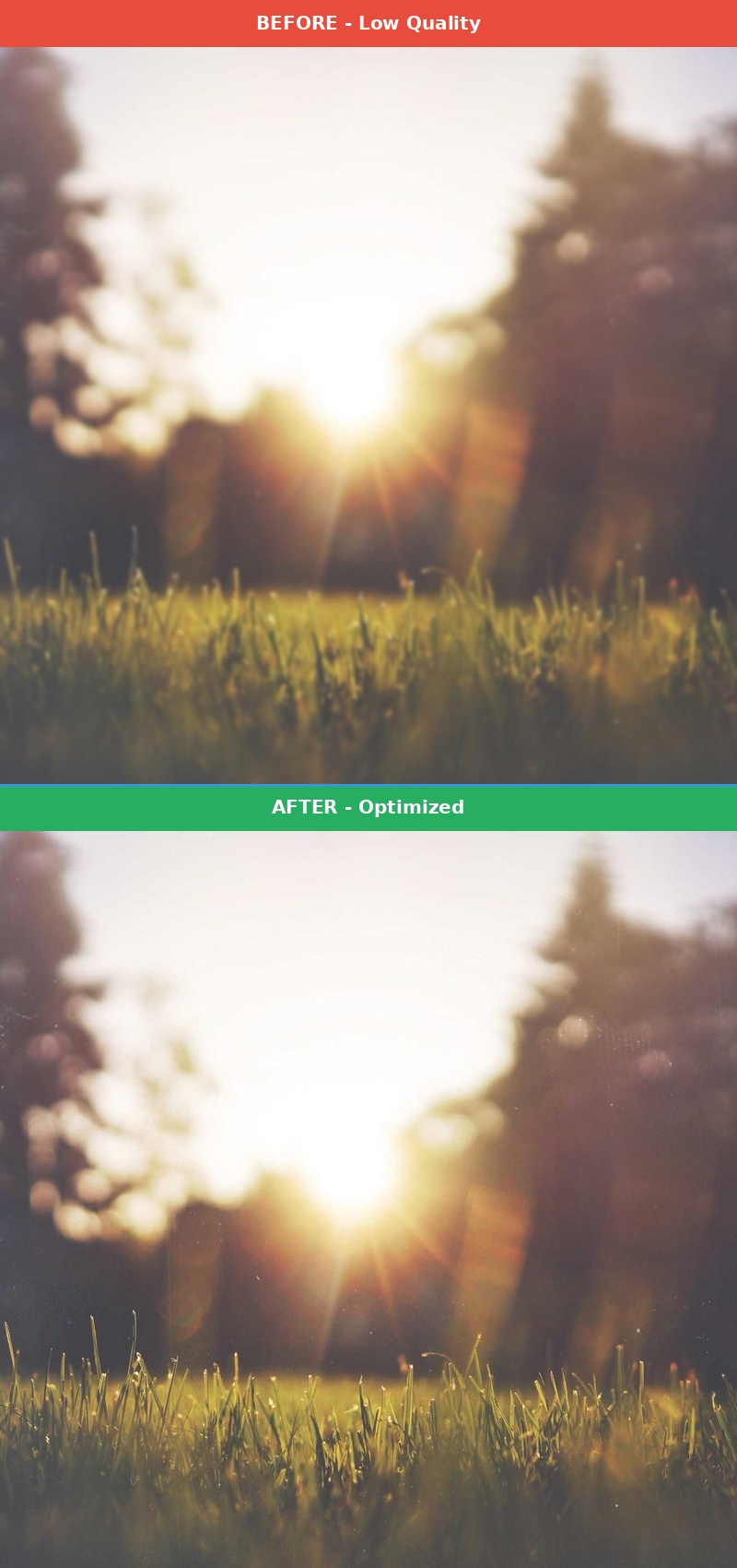 Before vs After Comparison